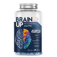 Nootrópico Brain Up Am/Pm 60 Tabletes True source