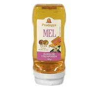 Mel de Flores de Uva Japonesa Bisnaga 300g Prodapys