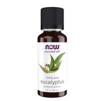 Óleo Essencial de Eucalipto 30ml Now Óleo Essencial de Eucalipto 30ml Now