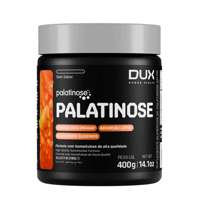 Palatinose 400g Dux