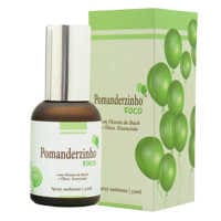Pomanderzinho Foco Spray 30ml Pomanderzinho Foco Spray 30ml